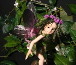 Fairy Fae Alga